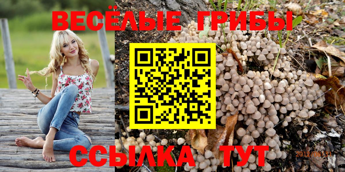 Галлюциногенные грибы мухоморы Горно-Алтайск
