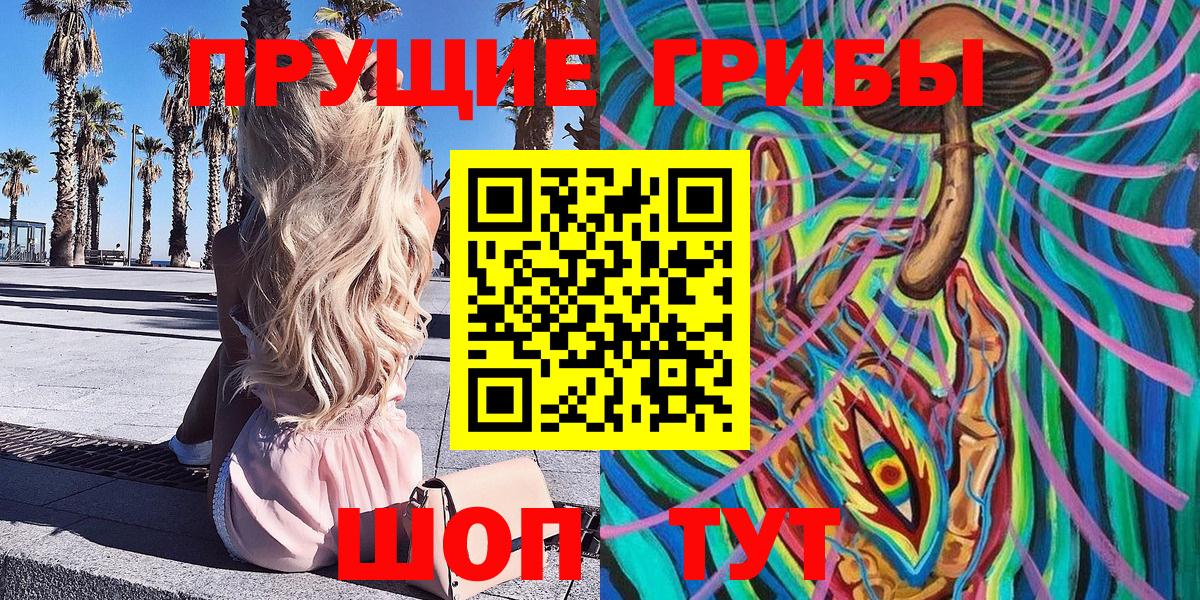 Галлюциногенные грибы мицелий  Вход с VPN  Горно-Алтайск  Галлюциногенные грибы Psilocybe 